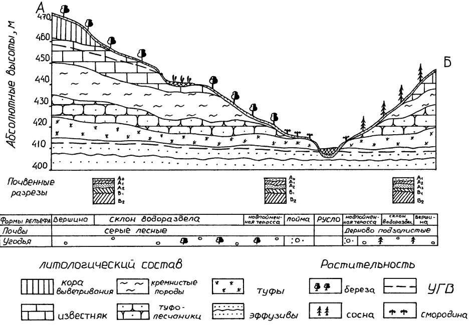 Туя Смарагд,можжевельник казацкий,Горная сосна-клумба