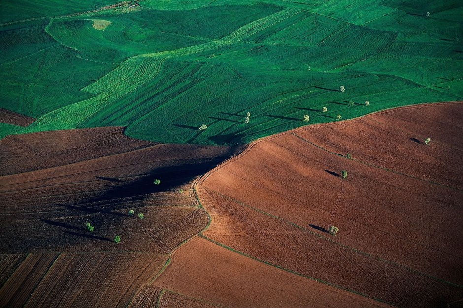 Карта общего сейсмического районирования Краснодарский край