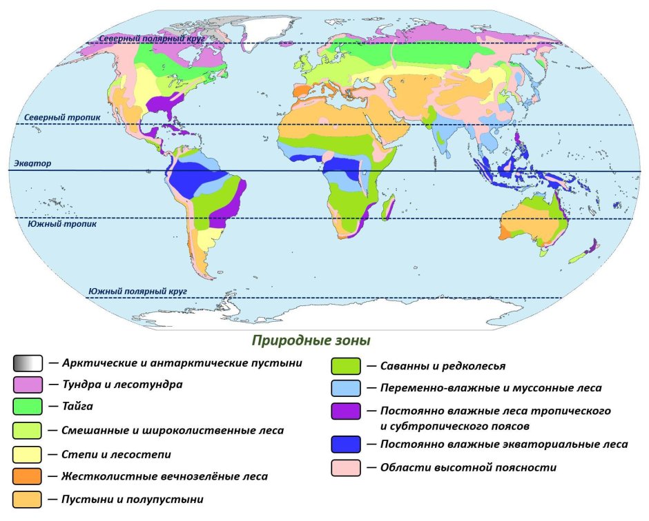Зеленые шаблоны для Инстаграм