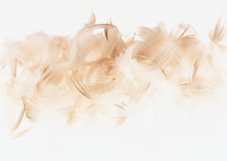 Фон в бежевых тонах