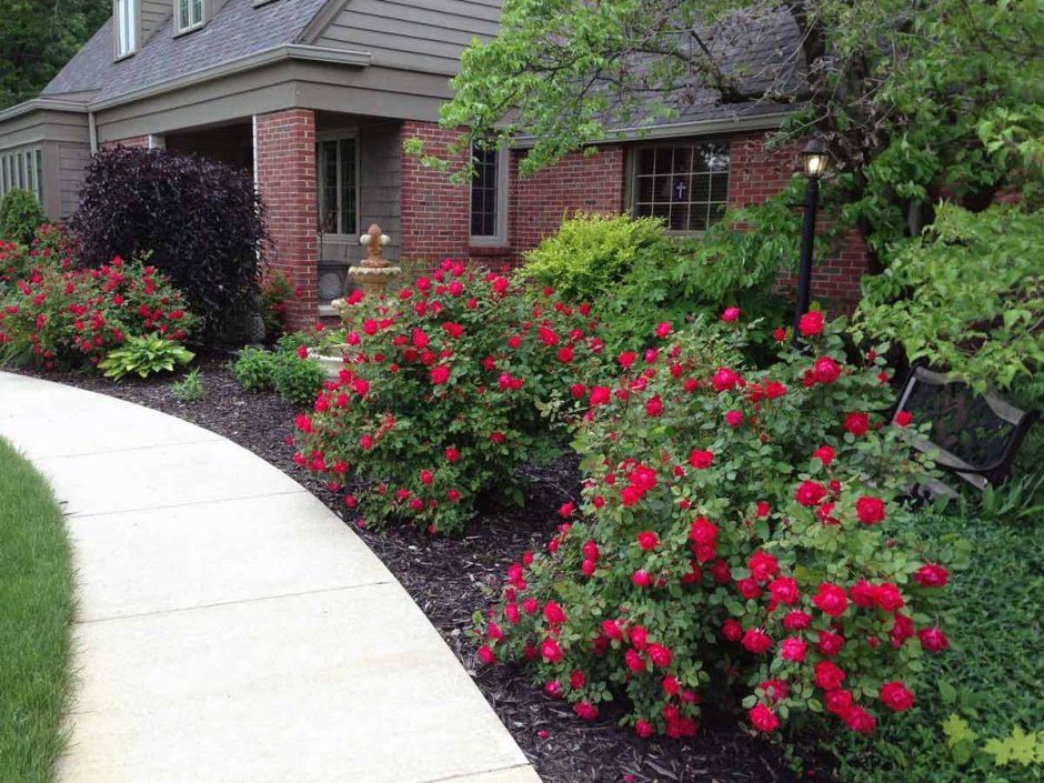 Миксбордер сирень роза