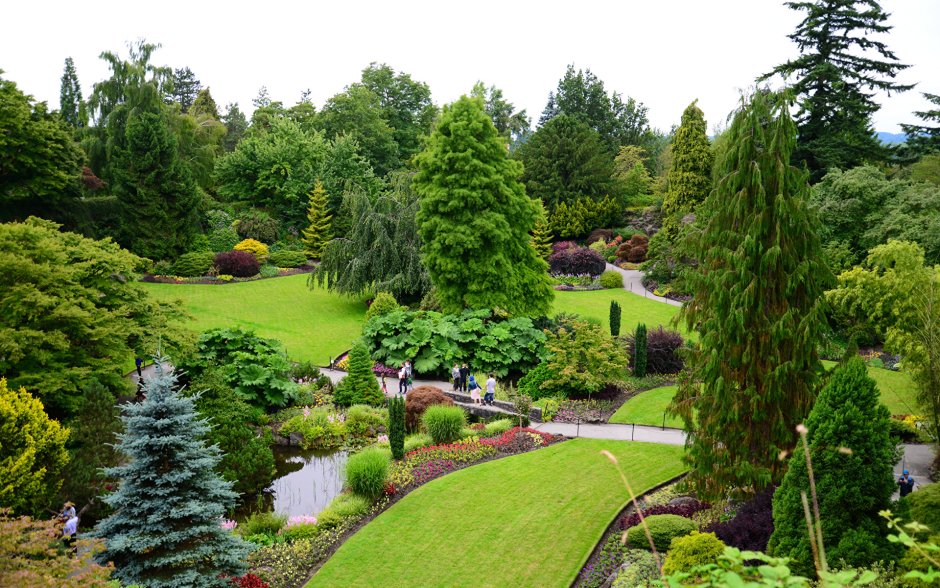 Клумба вид сверху