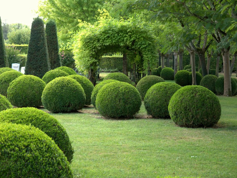 Миксбордеры с хвойниками схемы