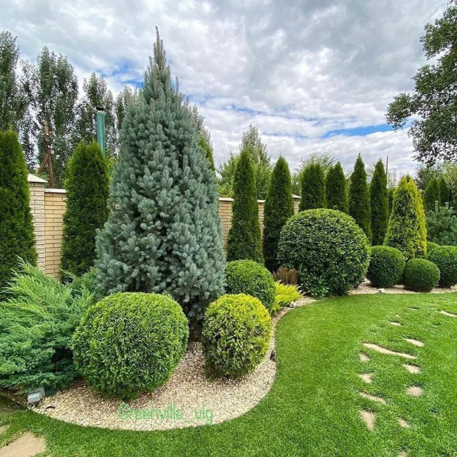 Гибридная трава Nordic Lawn