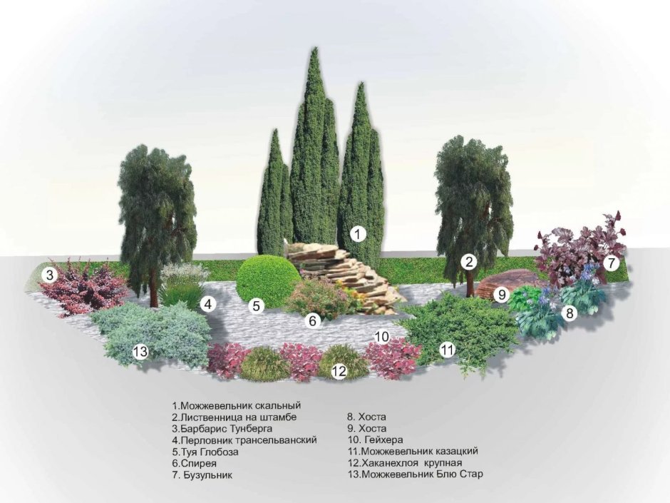 Миксбордер туя Барбарис