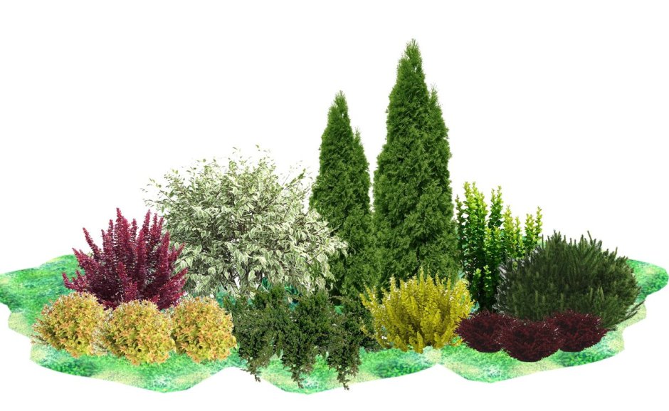 Клумбы миксбордеры непрерывного цветения