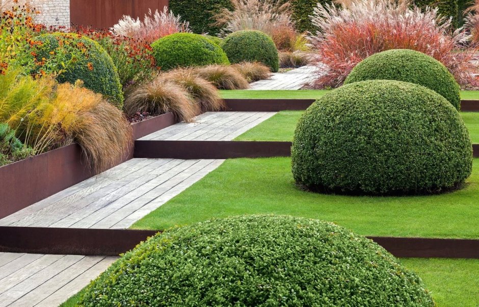 Туя Смарагд и Барбарис