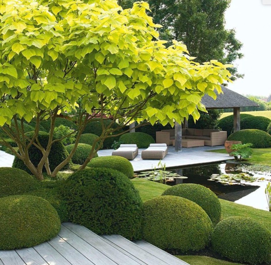 Миксбордер с туей Смарагд