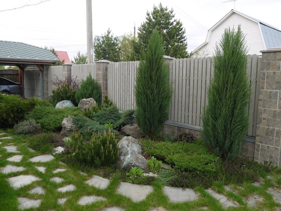 Можжевельник Хиберника в ландшафтном дизайне