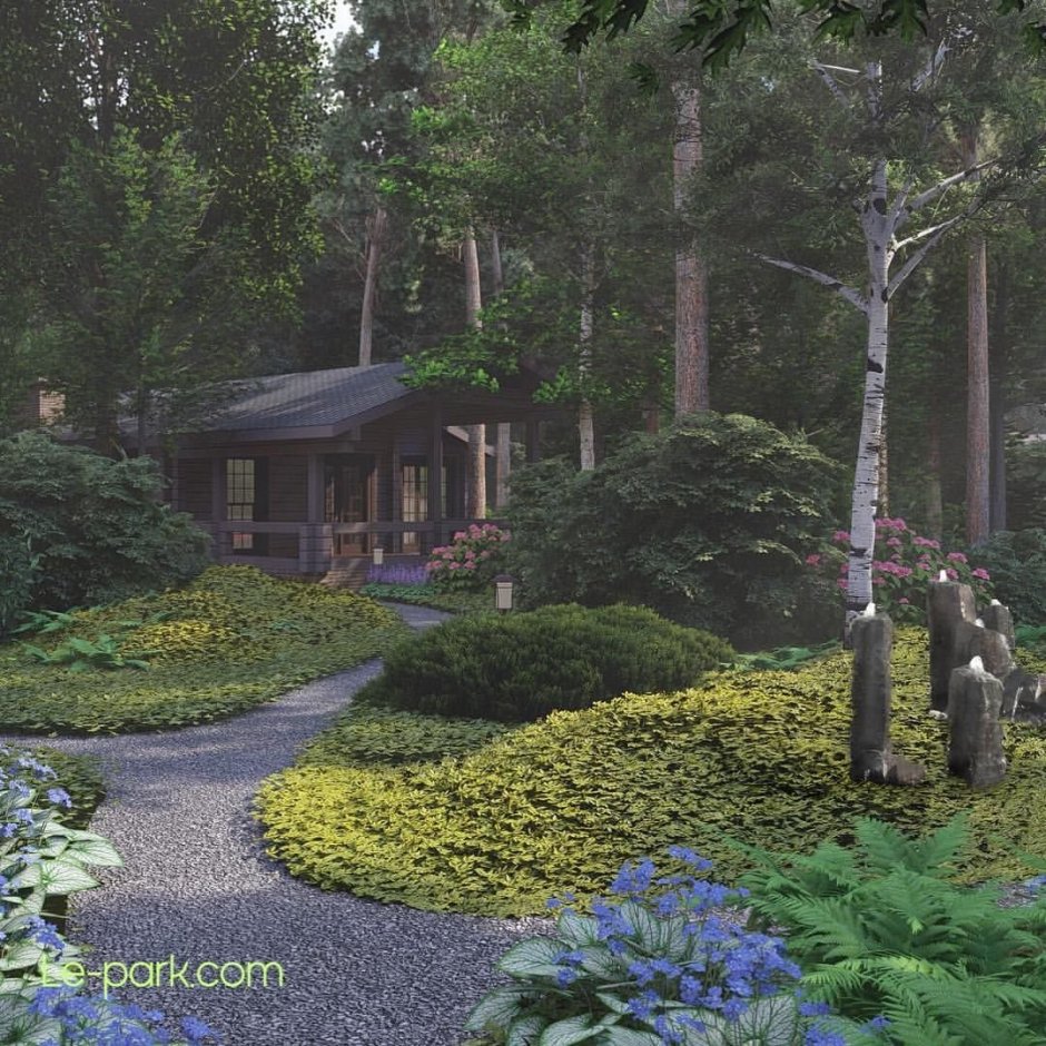 Хвойники в Лесном ландшафте