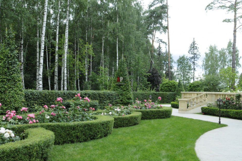 Arcadia Garden Ландшафтная студия