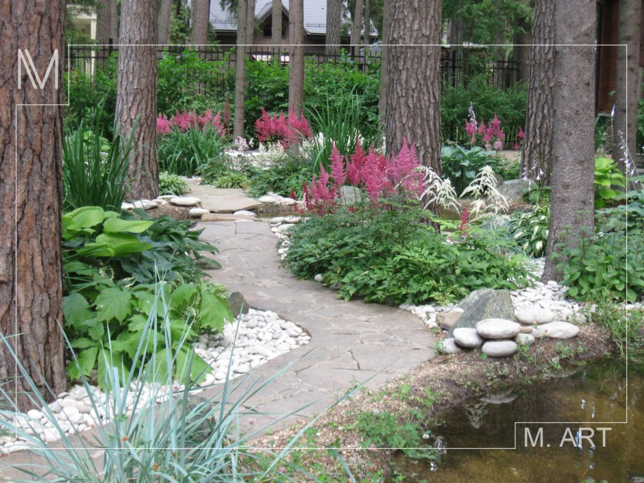 Хвойники в Лесном ландшафте