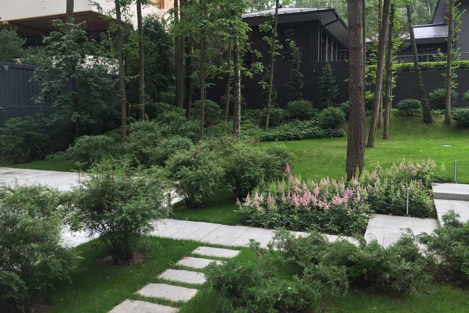 Лесопарковый ландшафт макроландшафт