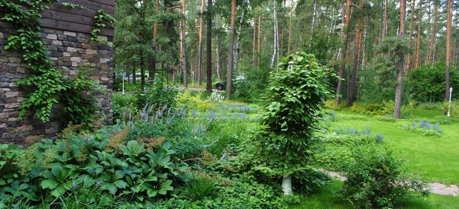 Колесник Владимир ландшафт