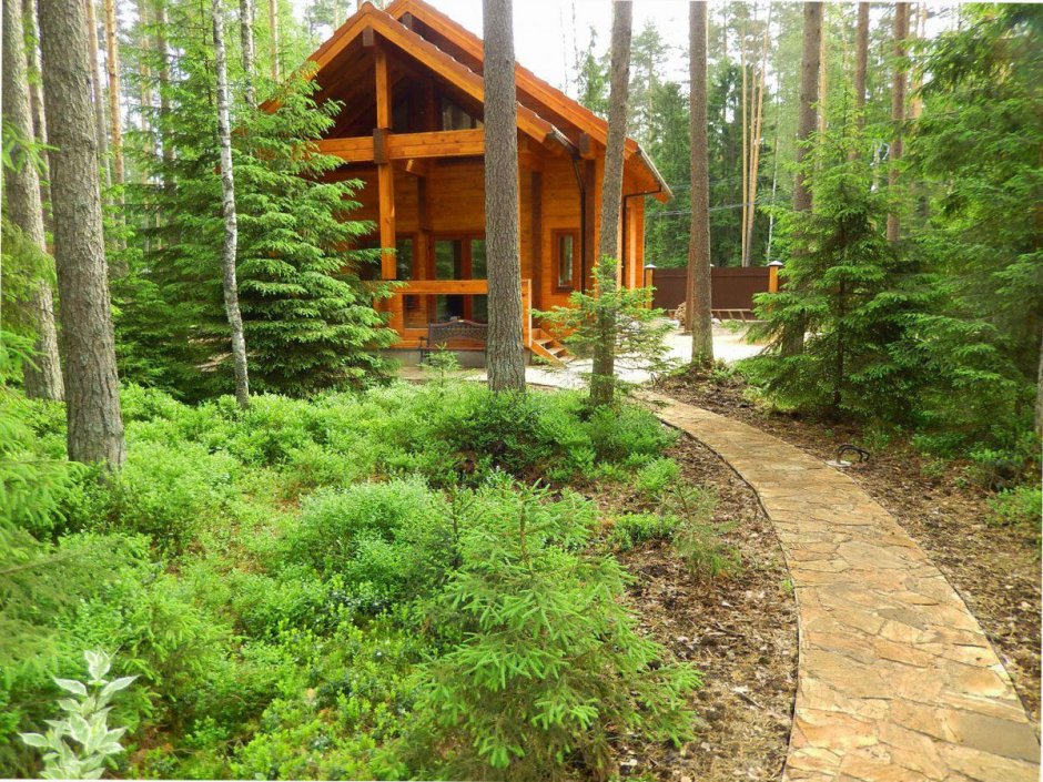 Шале сад Альпийский