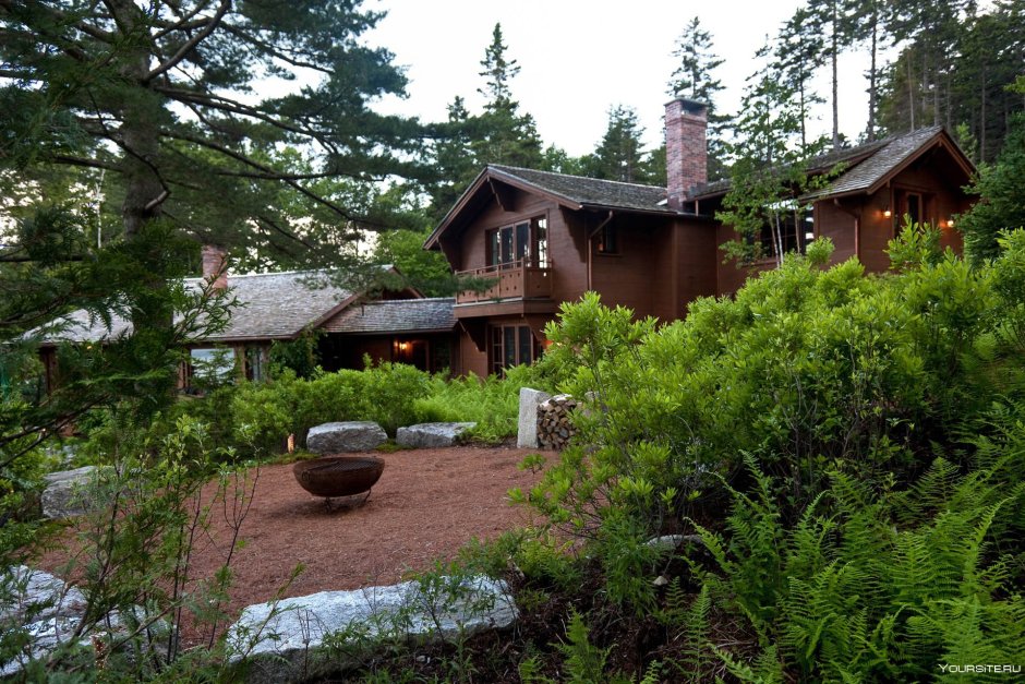 Форест Гарден садик