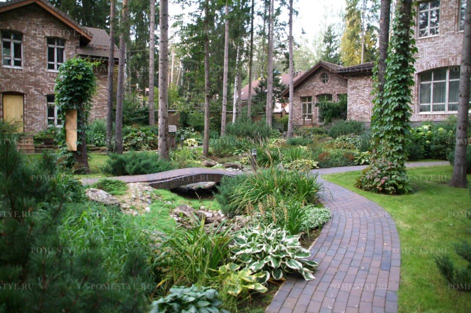 Екатерина Левина ландшафтный Архитектор