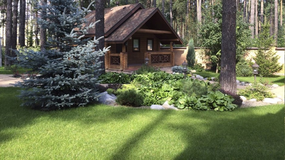 Сады Майендорф Александр Гривко