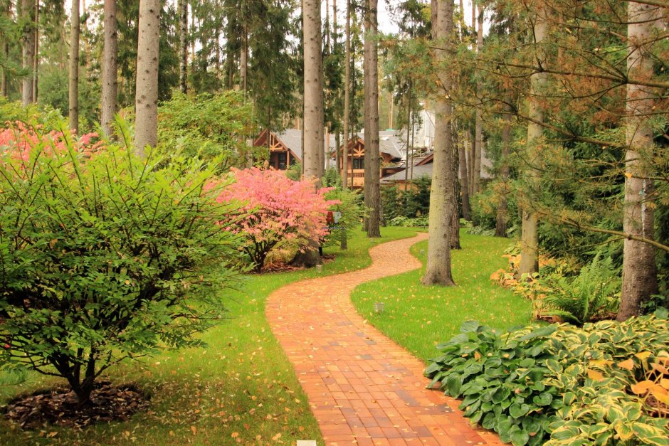 ТОПДОМ архитектура Райта