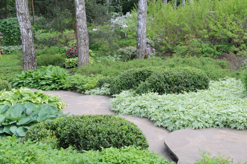 Лесной участок натургарден