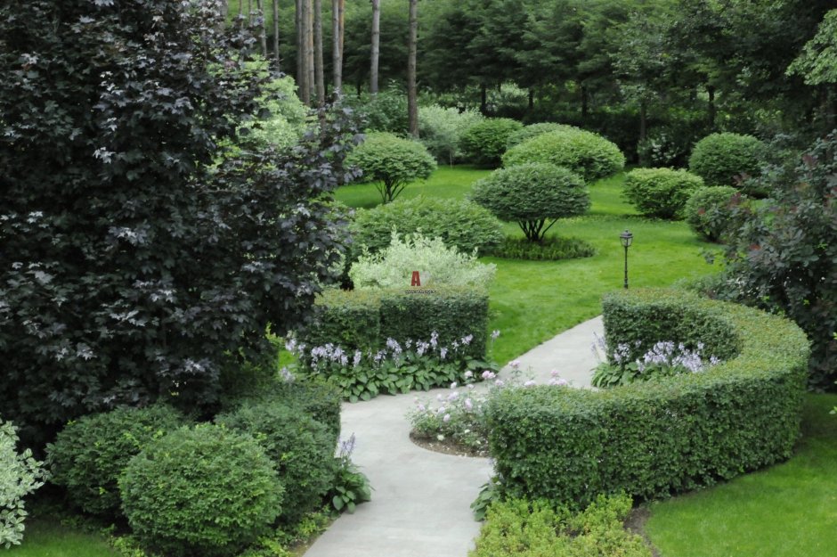 Сад с гортензиями и хвойниками в Лесном стиле