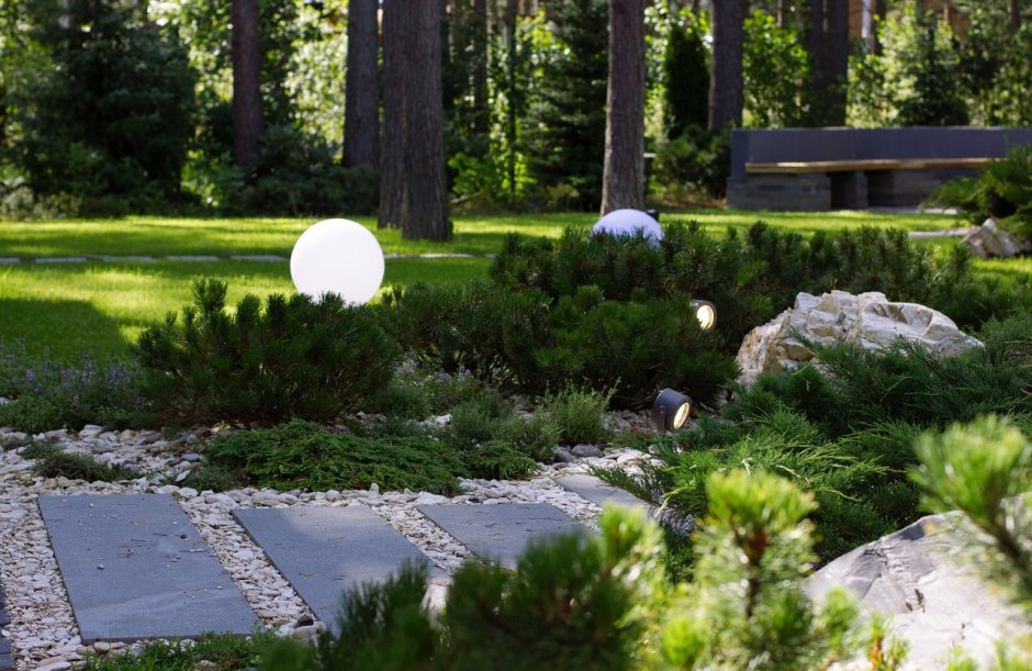 Боскет самшит