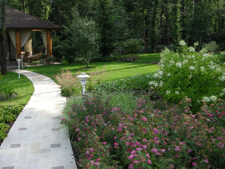 Теневыносливые хвойники