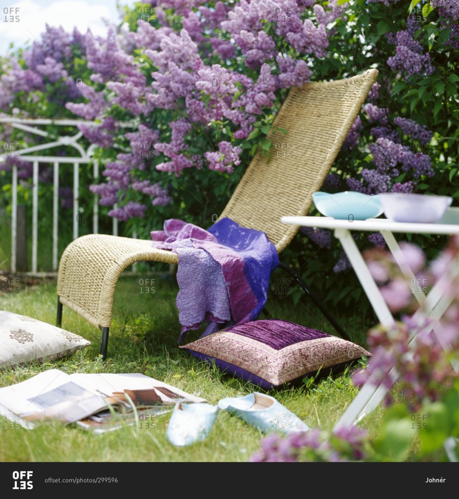 Сиреневый уголок в саду