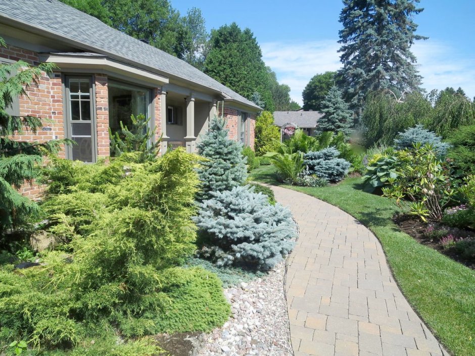 Хвойно Лиственная Живая изгородь