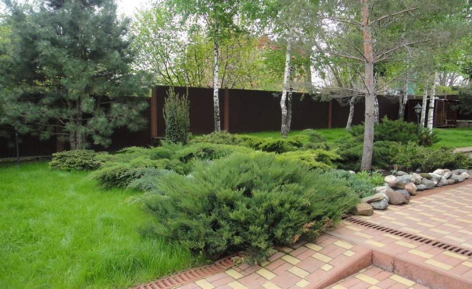 Планировка участка в Сосновом Бору