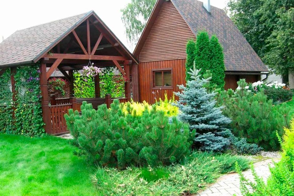 Ель Хупси ниваки