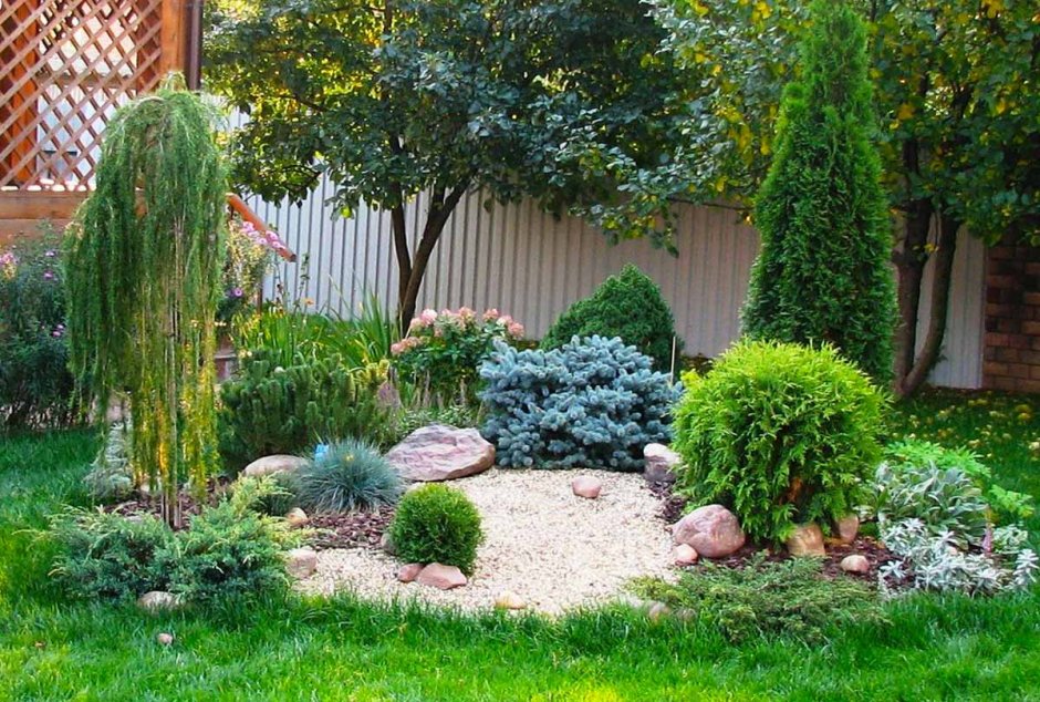 Хвойники вокруг беседки