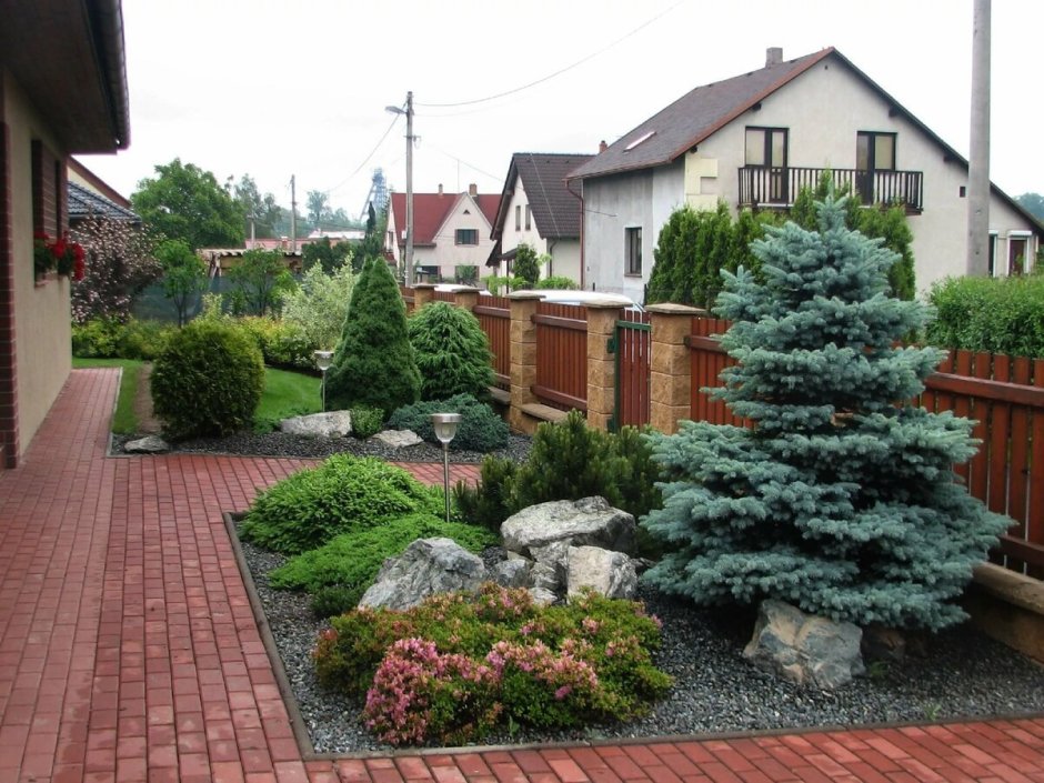 Туя Смарагд и Даника