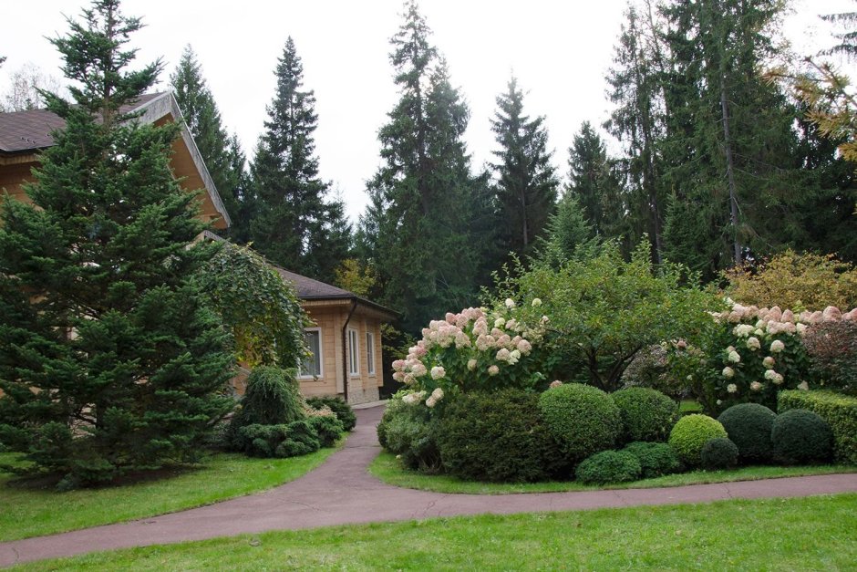 Миксбордер с Глаука Глобоза