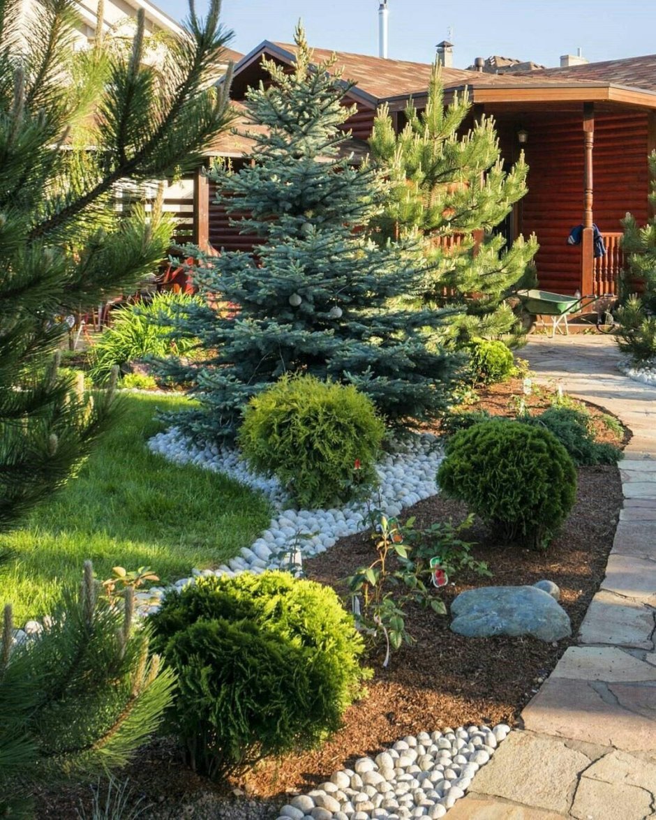 Рокарий с хвойными