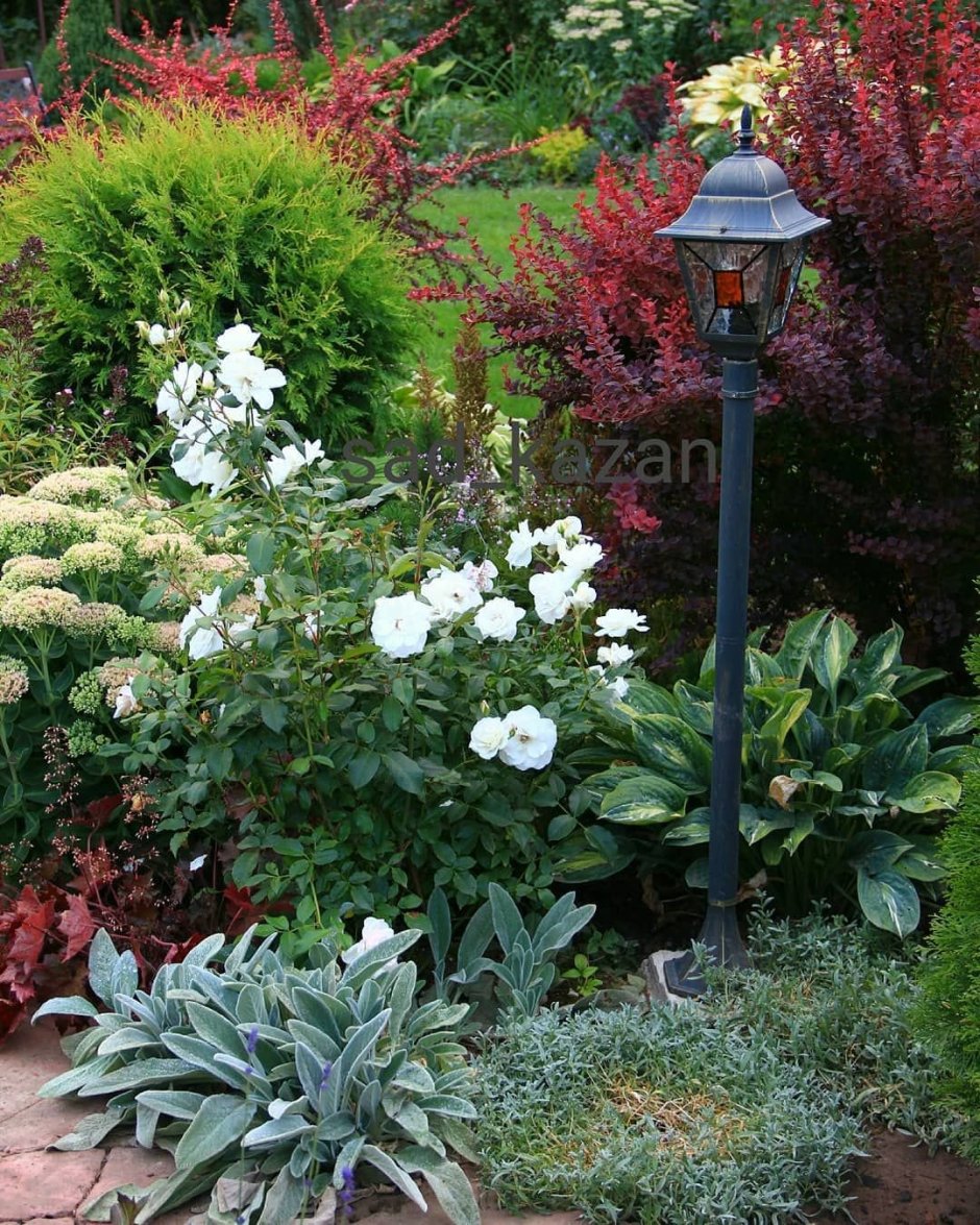 Туя Смарагд , гортензия, астильба клумба