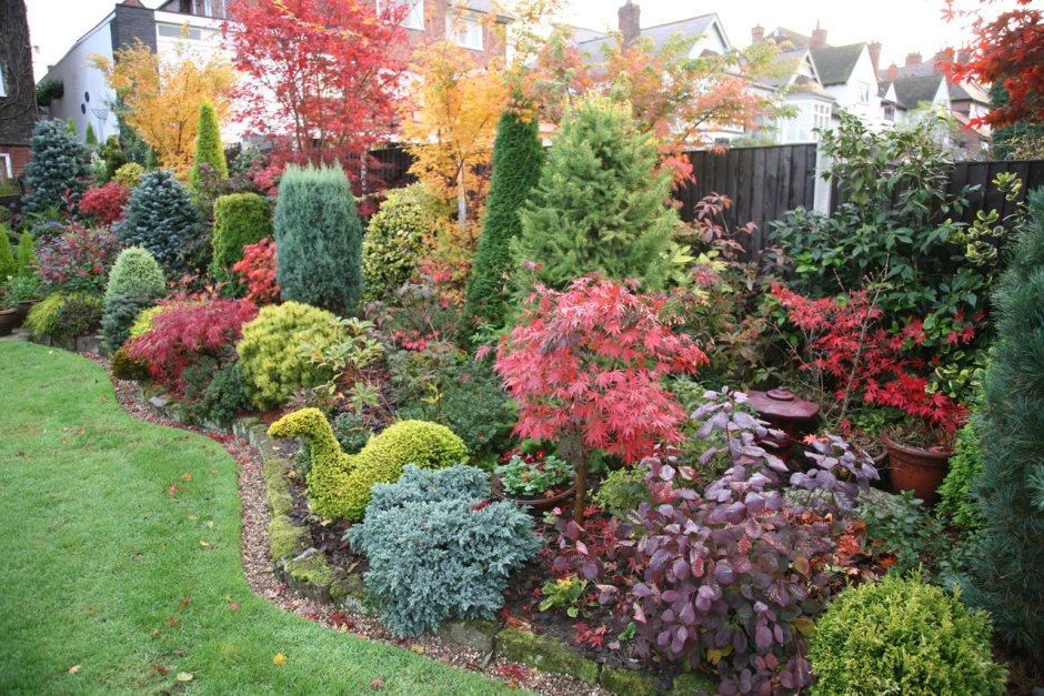 Миксбордер вейгела, Жасмин