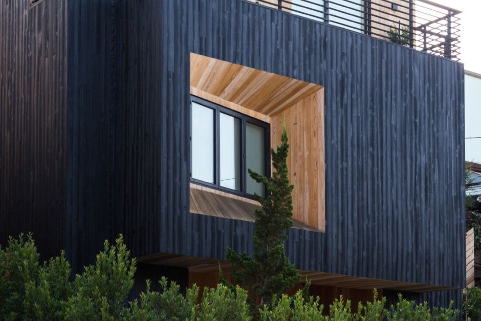 Шоу Суги бан дерево