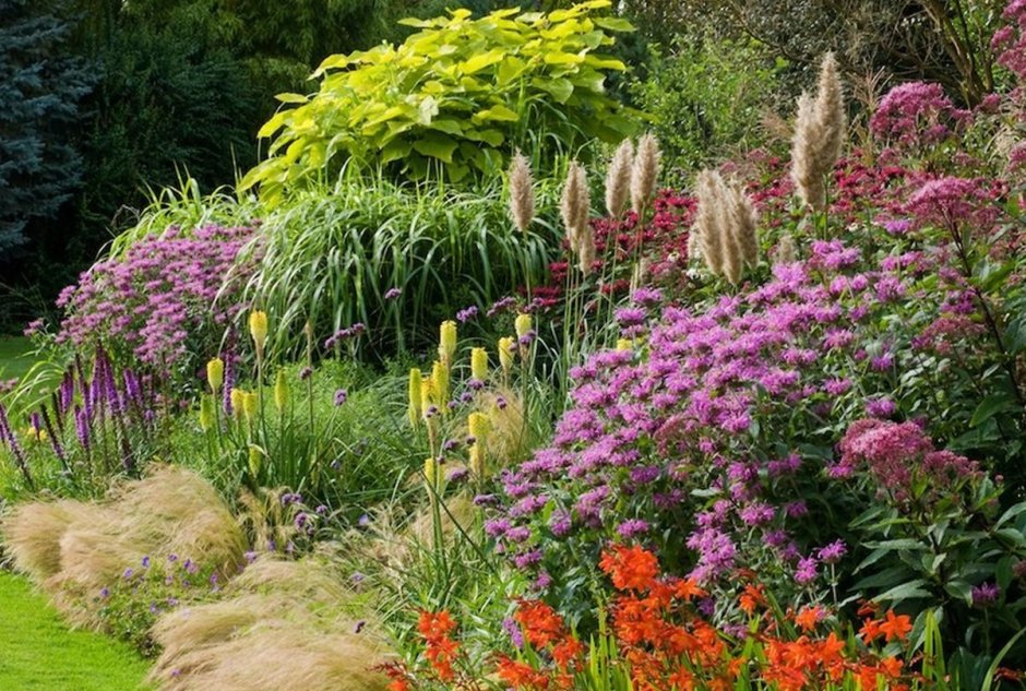 Монарда и злаки