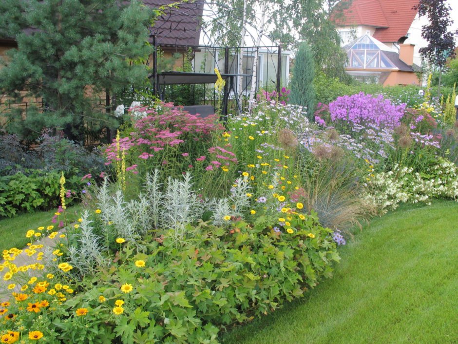 Монарда в миксбордере