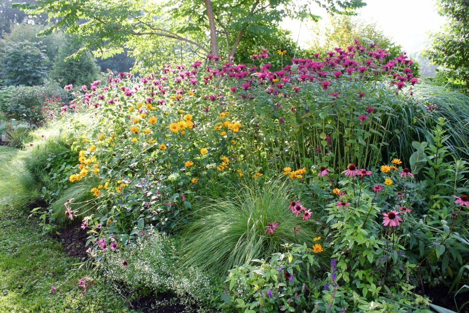 Койсман цветники