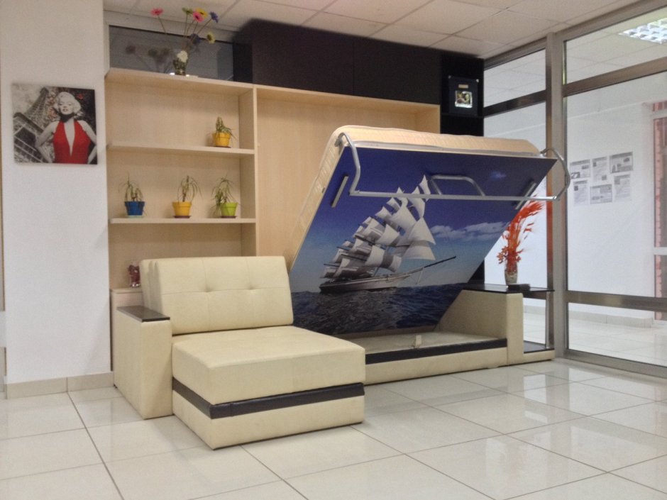 Шкаф-кровать трансформер Долли 51 BMS