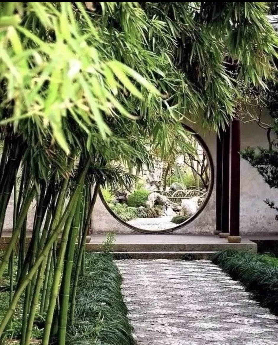 Бамбук в садах Японии