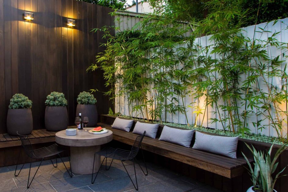 Бамбук на балконе