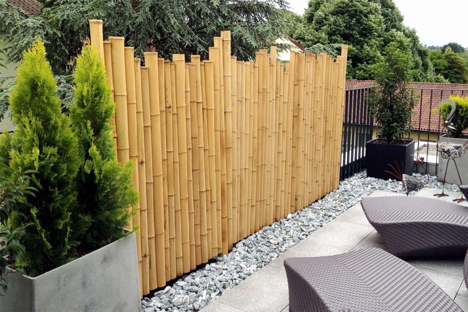 Забор из бамбука
