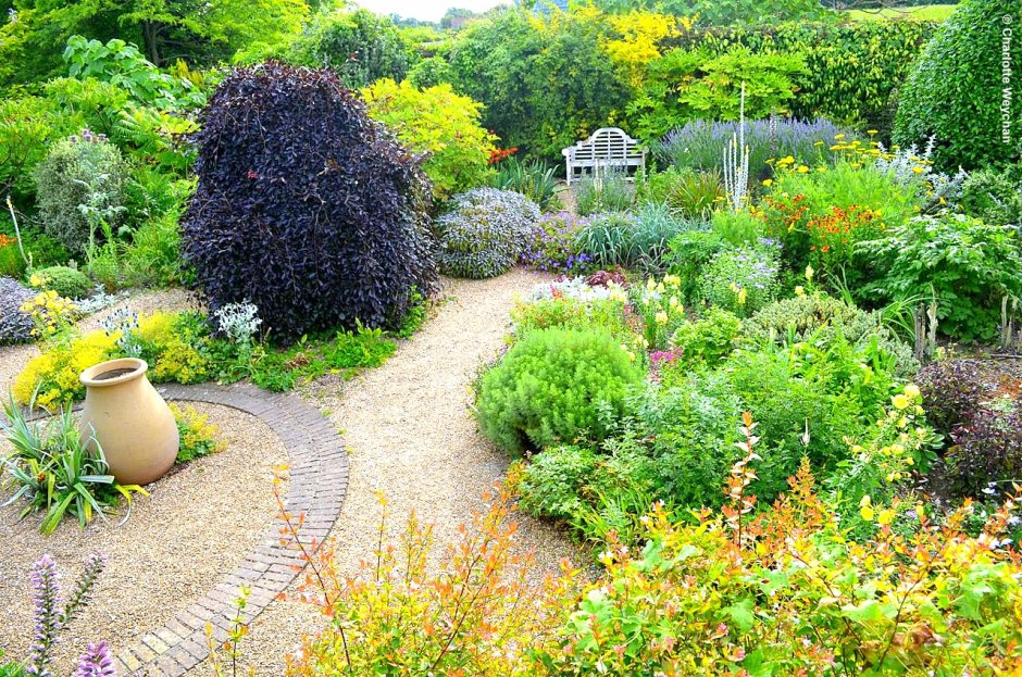 Джон Брукс в цветнике