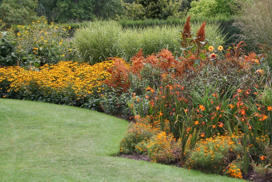 Оранжевый сад Игоря Степанова многолетники