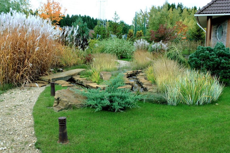 ЭКОДИЗАЙН ландшафтный садик злаков