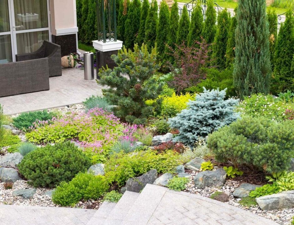 Ель Коника рокарий