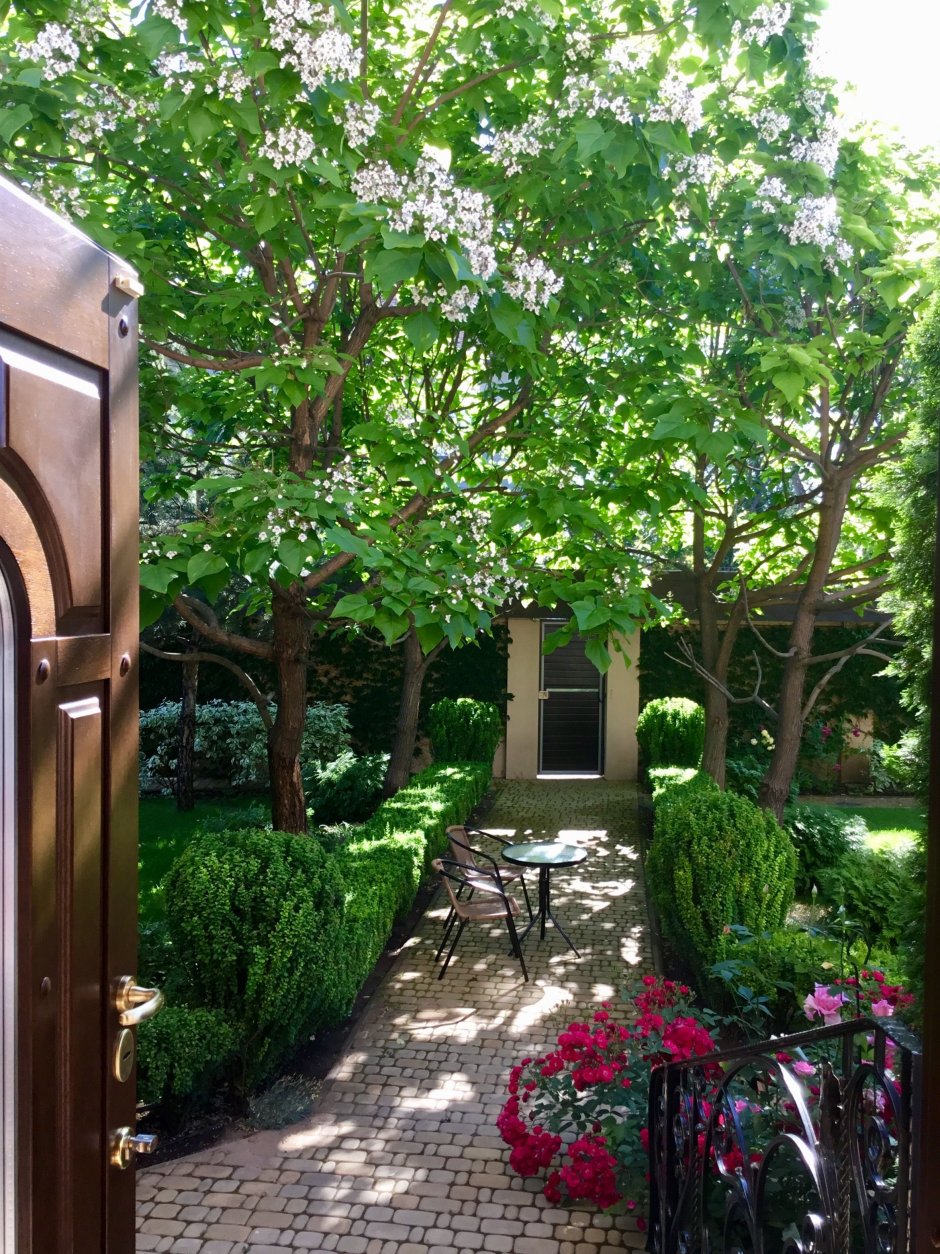 Сад Елены Романовой